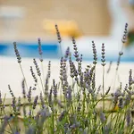 Feriehus Sul Mare Starigrad Paklenica