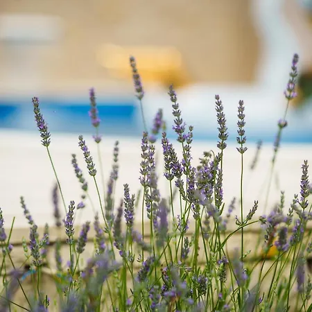 Prázdninový dům Sul Mare Starigrad Paklenica
